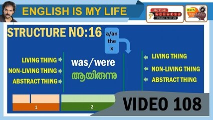 154973057323486.jpg